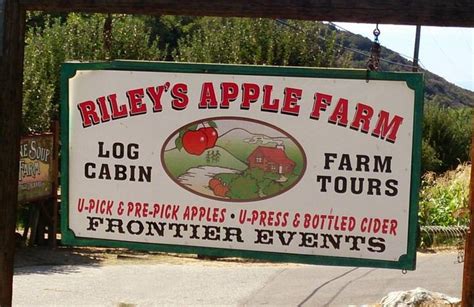 Riley's farm california. Things To Know About Riley's farm california. 